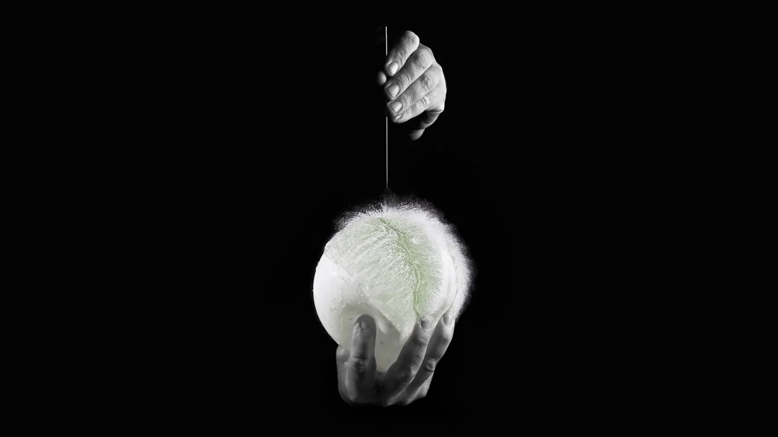 Reputation And Crisis Academy