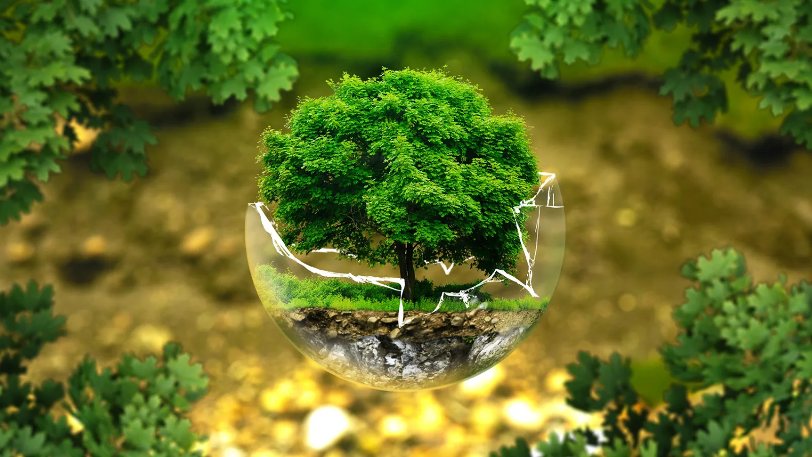 Successfully Implement A CSR Business Strategy And Master Sustainability Reporting 1